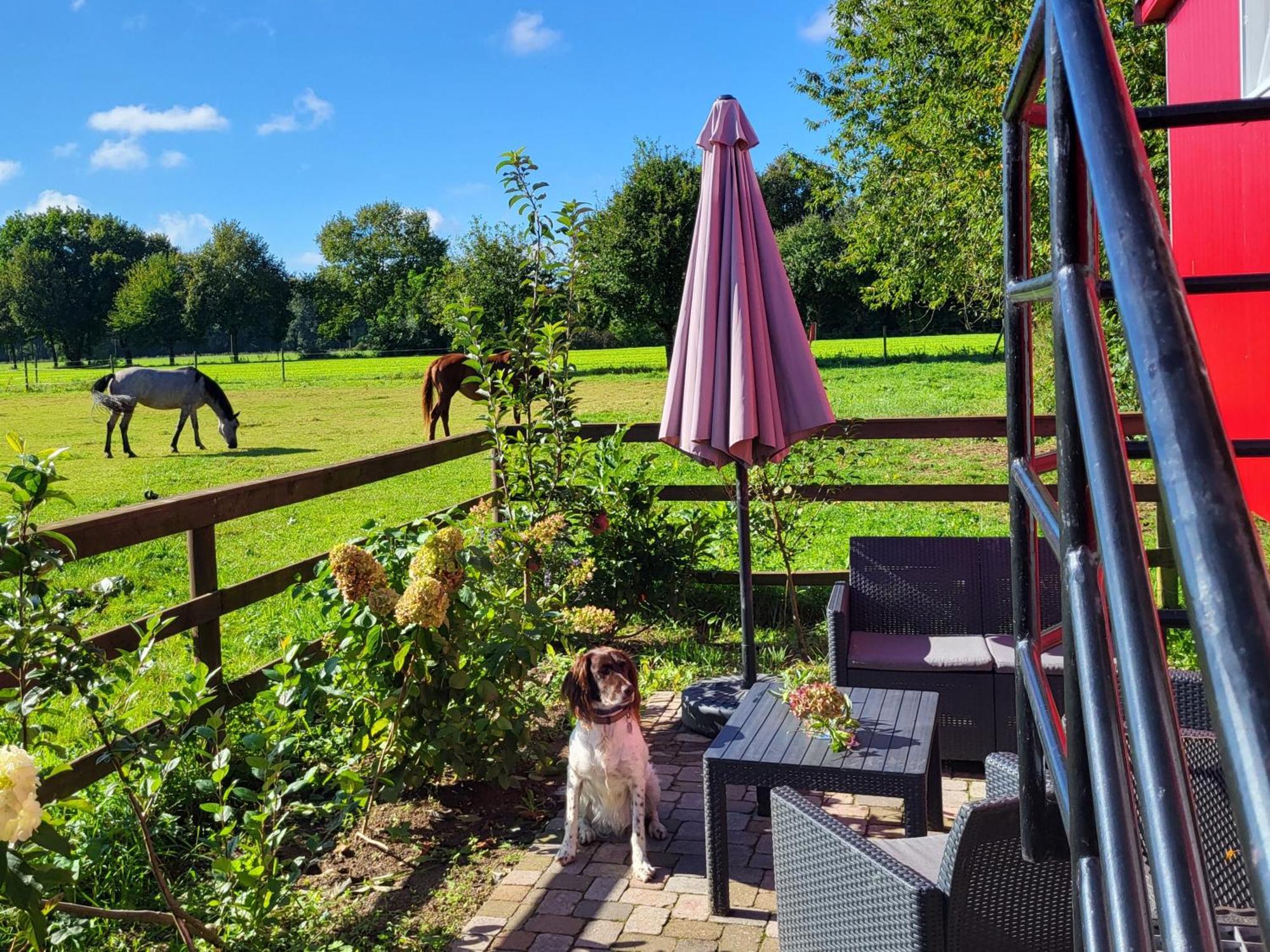 Schlafwagen Domblick Moerenhof Xanten Bagian luar foto